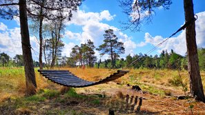 Eine Hängematte aus Holz lädt zum Entspannen im Tister Bauernmoor ein