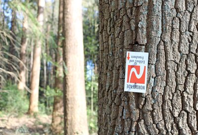 NORDPFADE-Schild steht Kopf