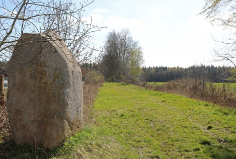 Hinkelstein am Wanderweg