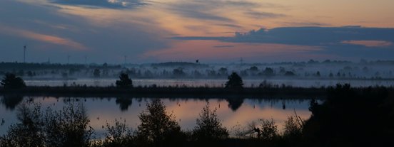 Kraniche und Zugvögel starten in den Tag