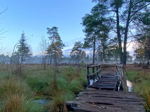 Schwingbrücke im Tister Bauernmoor