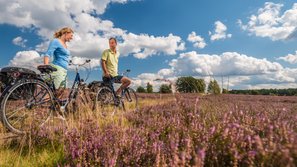 Ein Paar schiebt die Fahrräder durch die blühende Lüneburger Heide