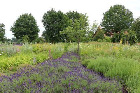 Buntes Blütenmeer