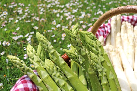 Korb mit Spargel